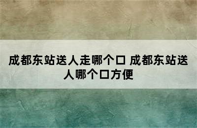 成都东站送人走哪个口 成都东站送人哪个口方便